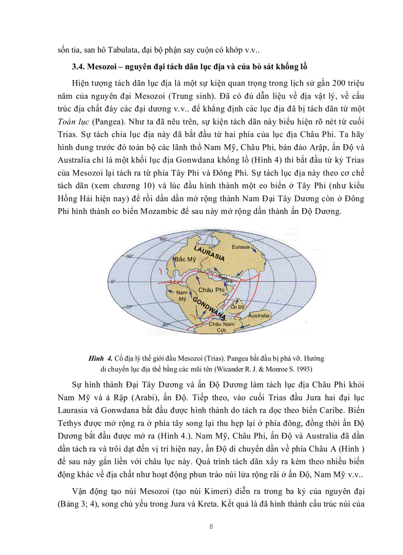 image for page Những mốc lớn trong lịch sử tiến hóa Trái đất