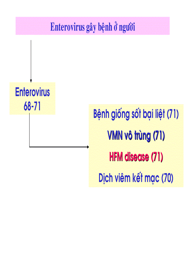 image for page BG Bệnh Tay Chân Miệng