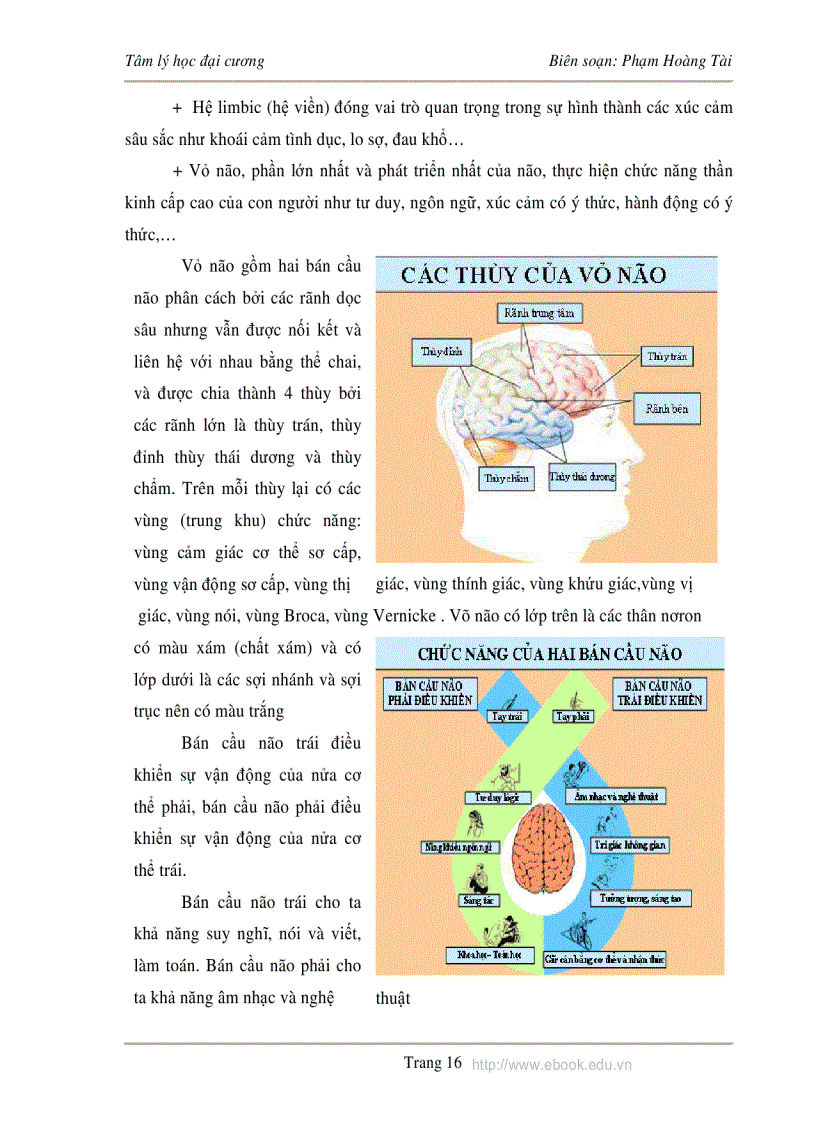 image for page Tâm lý học đại cương