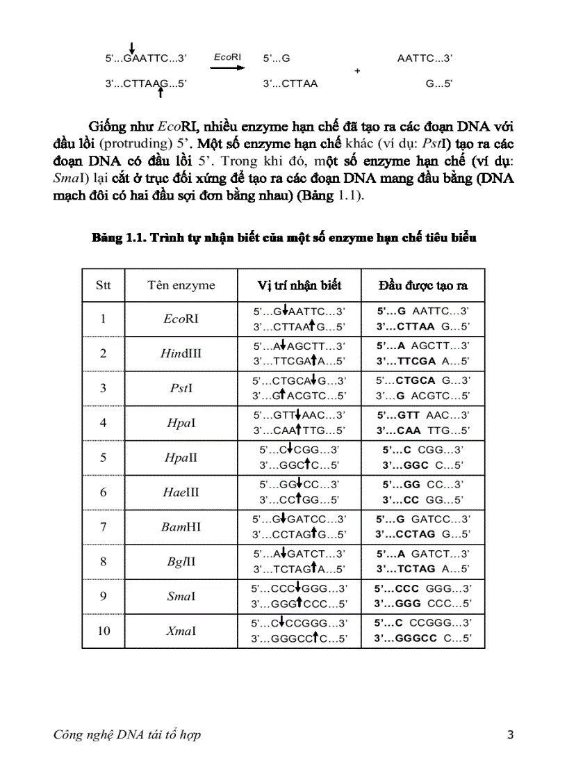 image for page Adn tái tổ hợp
