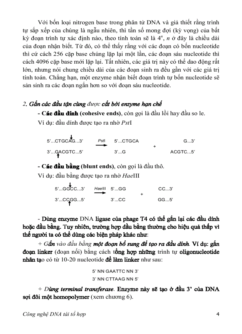 image for page Adn tái tổ hợp
