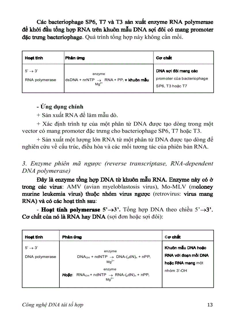 image for page Adn tái tổ hợp