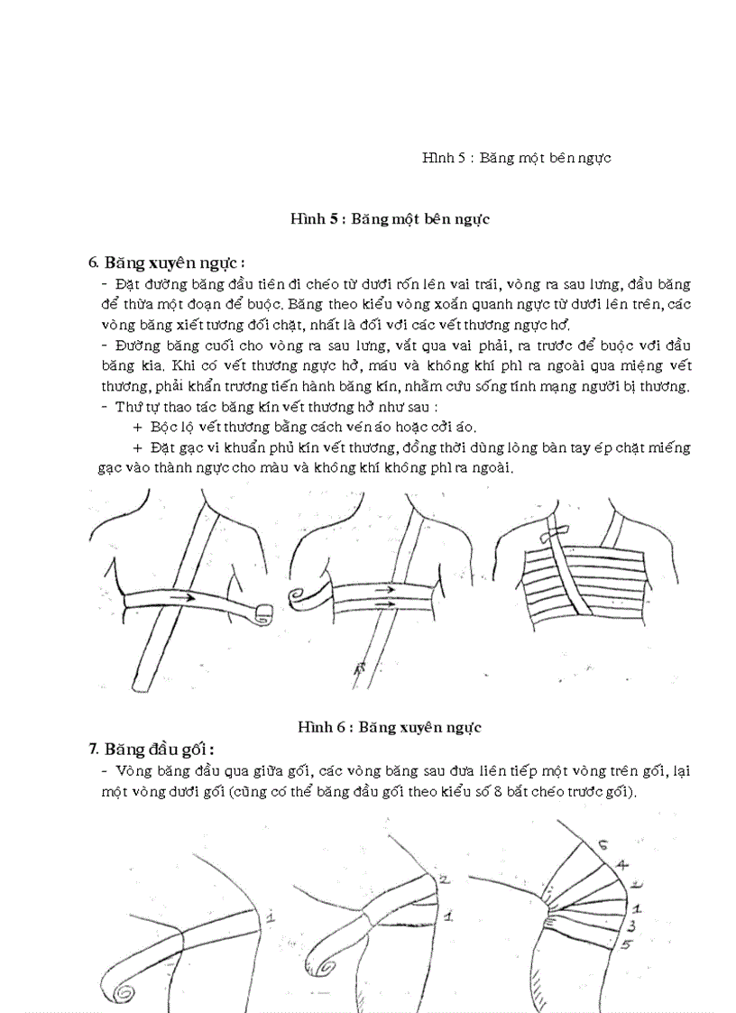 image for page Bài giảng gdqp đh băng bó vết thương