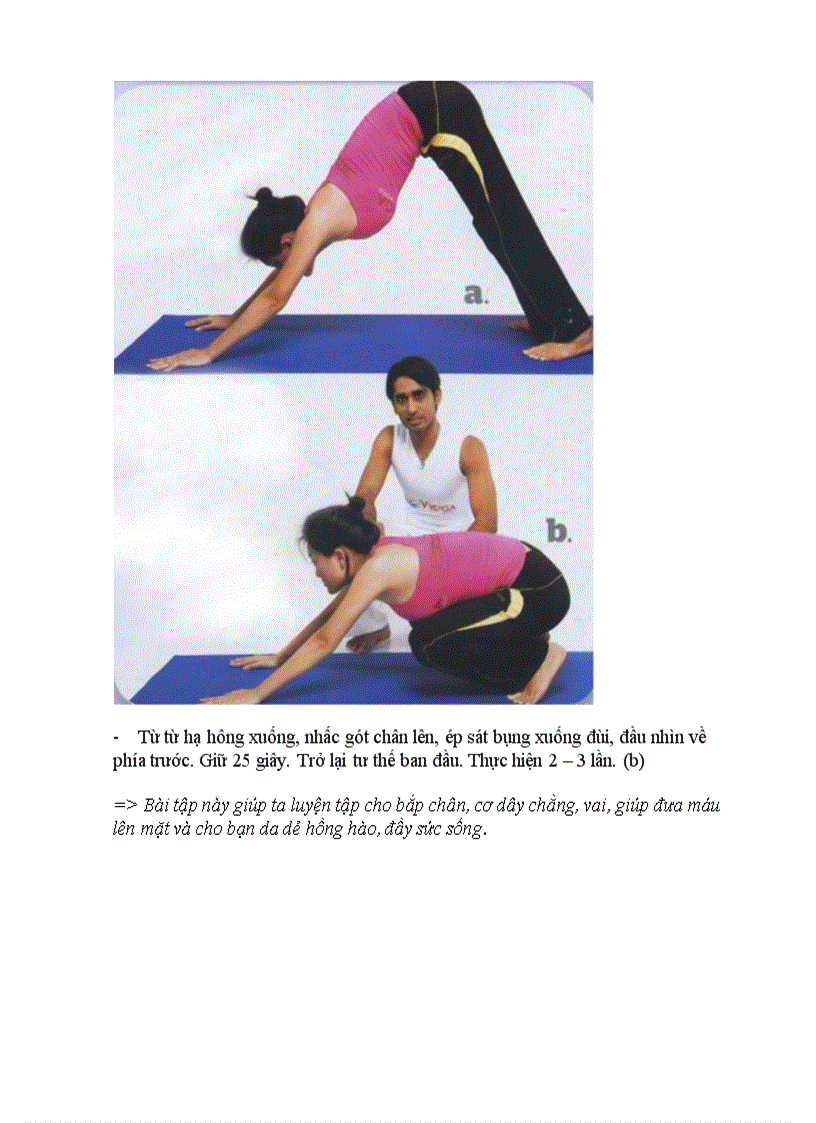Bài tập yoga chống lão hóa