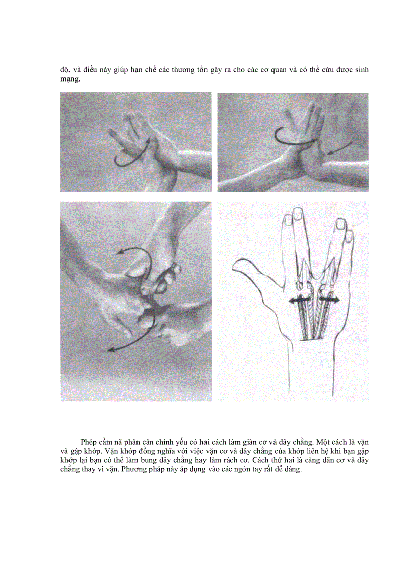 image for page Cầm nã thủ Kỹ thuật và cách luyện