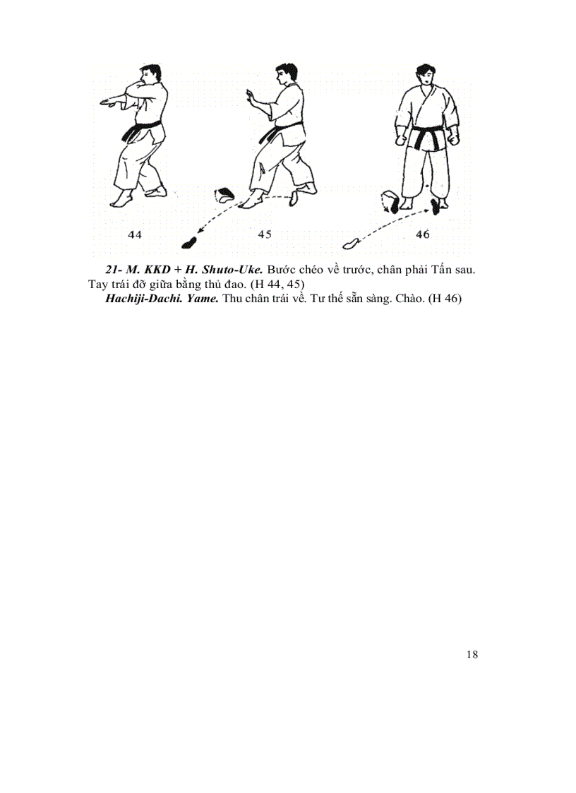 image for page Karate Các bài quyền từ đai trắng lên đai đen