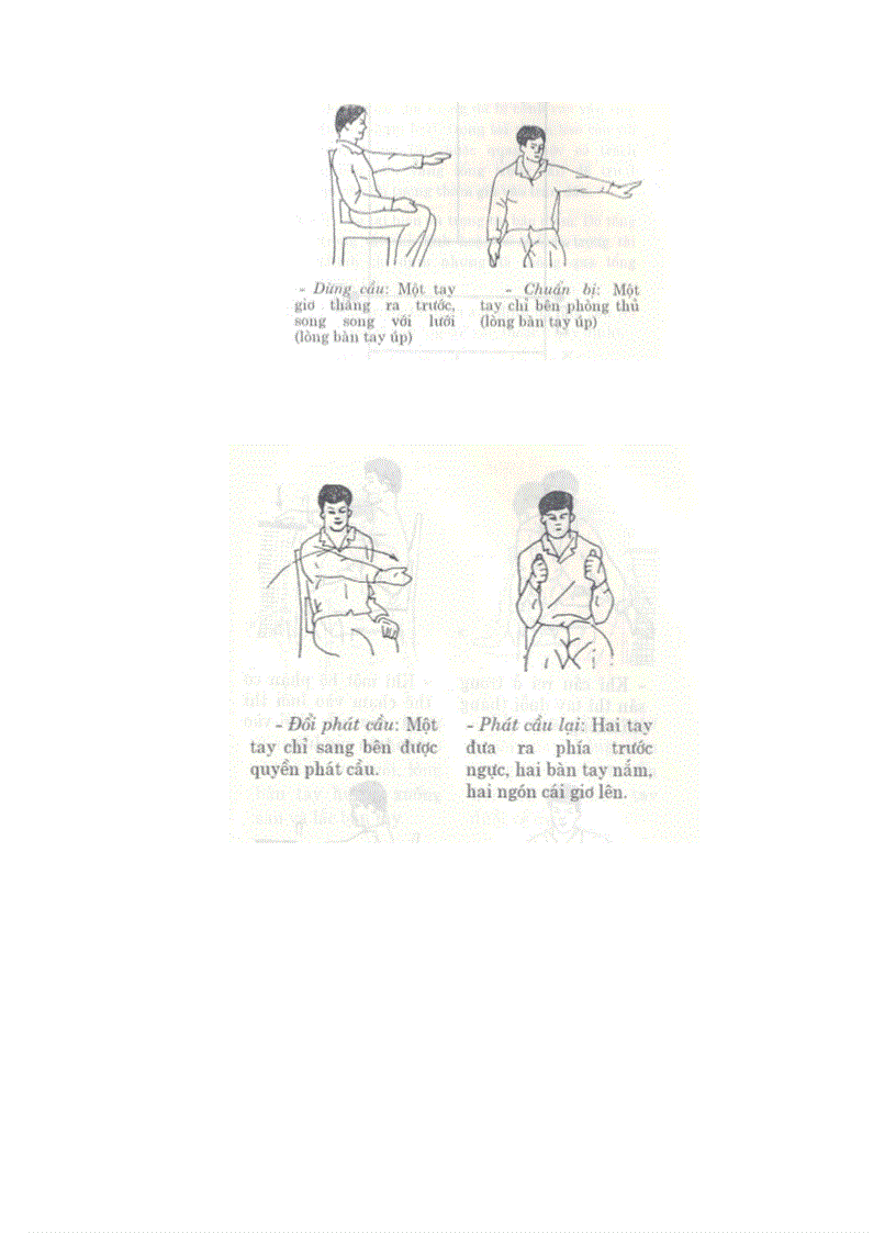 image for page Luat Da Cau