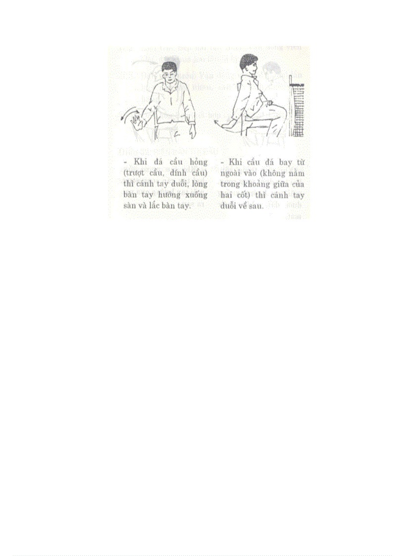 image for page Luat Da Cau