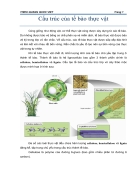 Biomass Phần 1 Tế bào thực vật