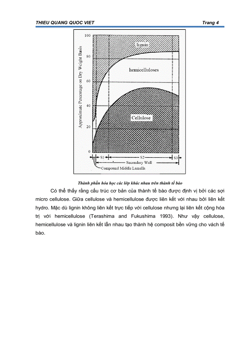 image for page Biomass Phần 1 Tế bào thực vật