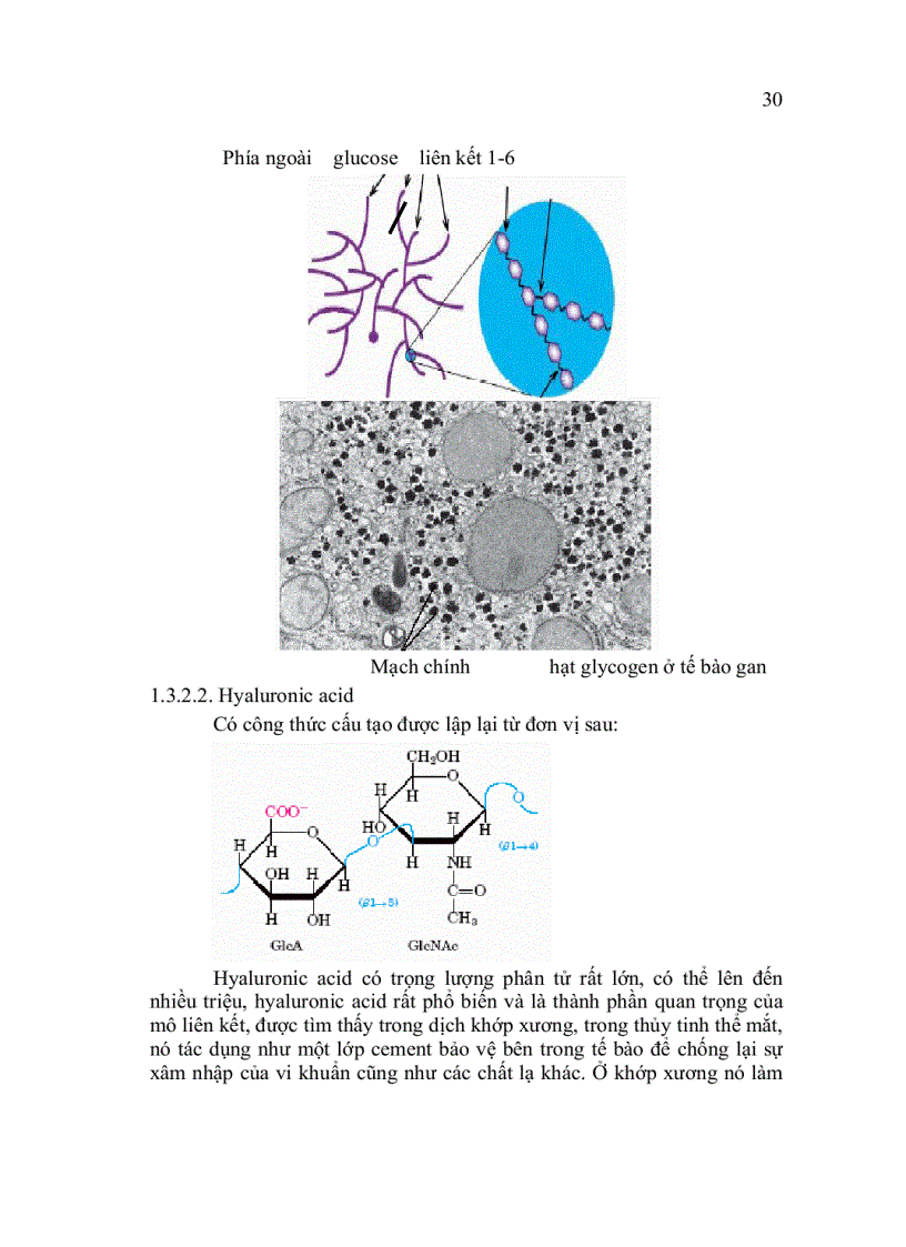 image for page Hóa sinh đại cương