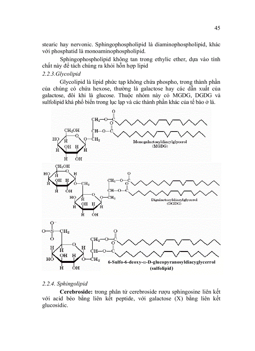 image for page Hóa sinh đại cương