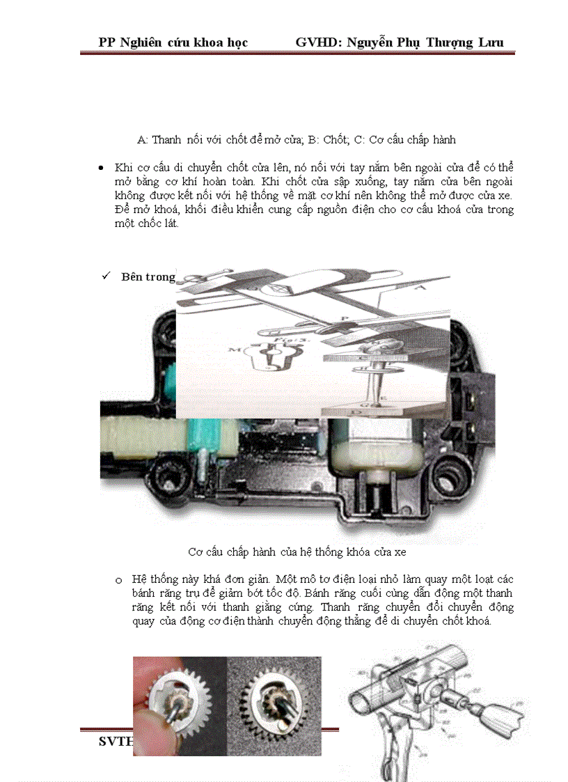 image for page Cua tu dong tren o to