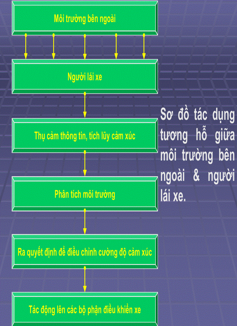 image for page Khai Thác Đường