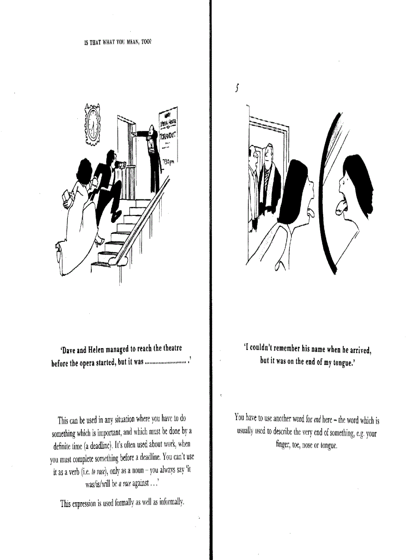 image for page English idioms Is that what you mean