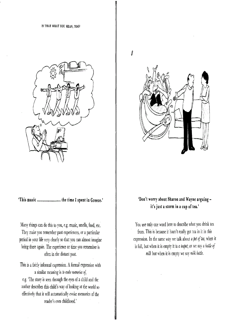 image for page English idioms Is that what you mean