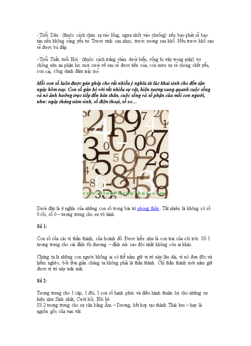 image for page Phong thủy và xem tuổi 2012