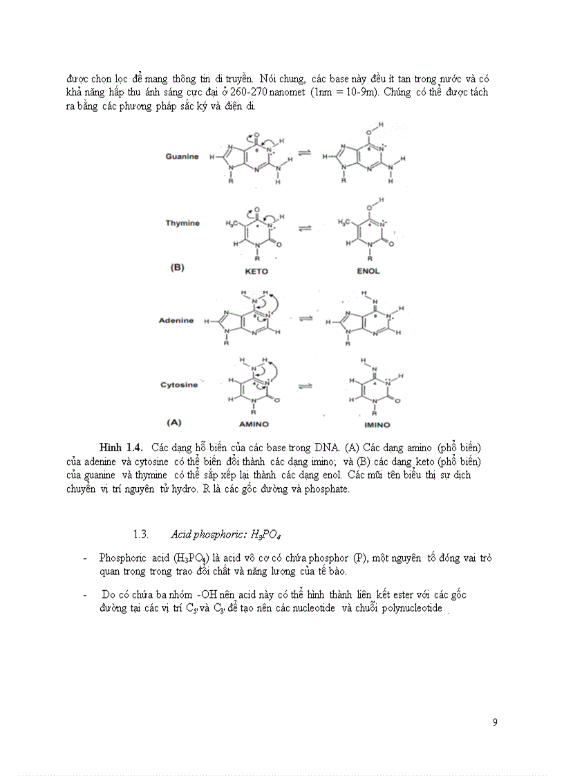 image for page Acid Nucleic