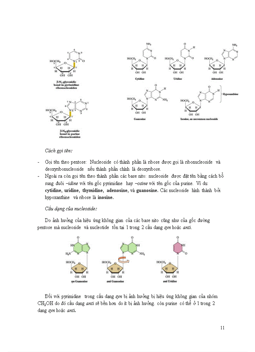 image for page Acid Nucleic