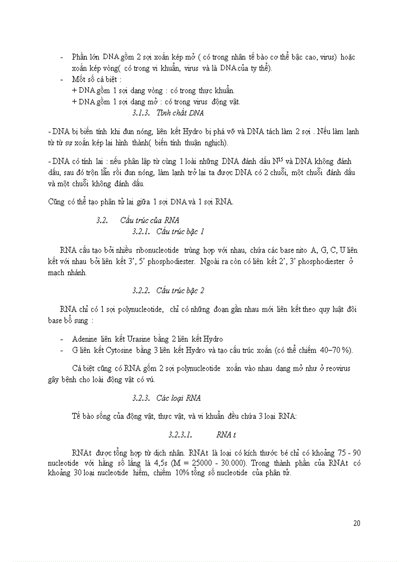 image for page Acid Nucleic