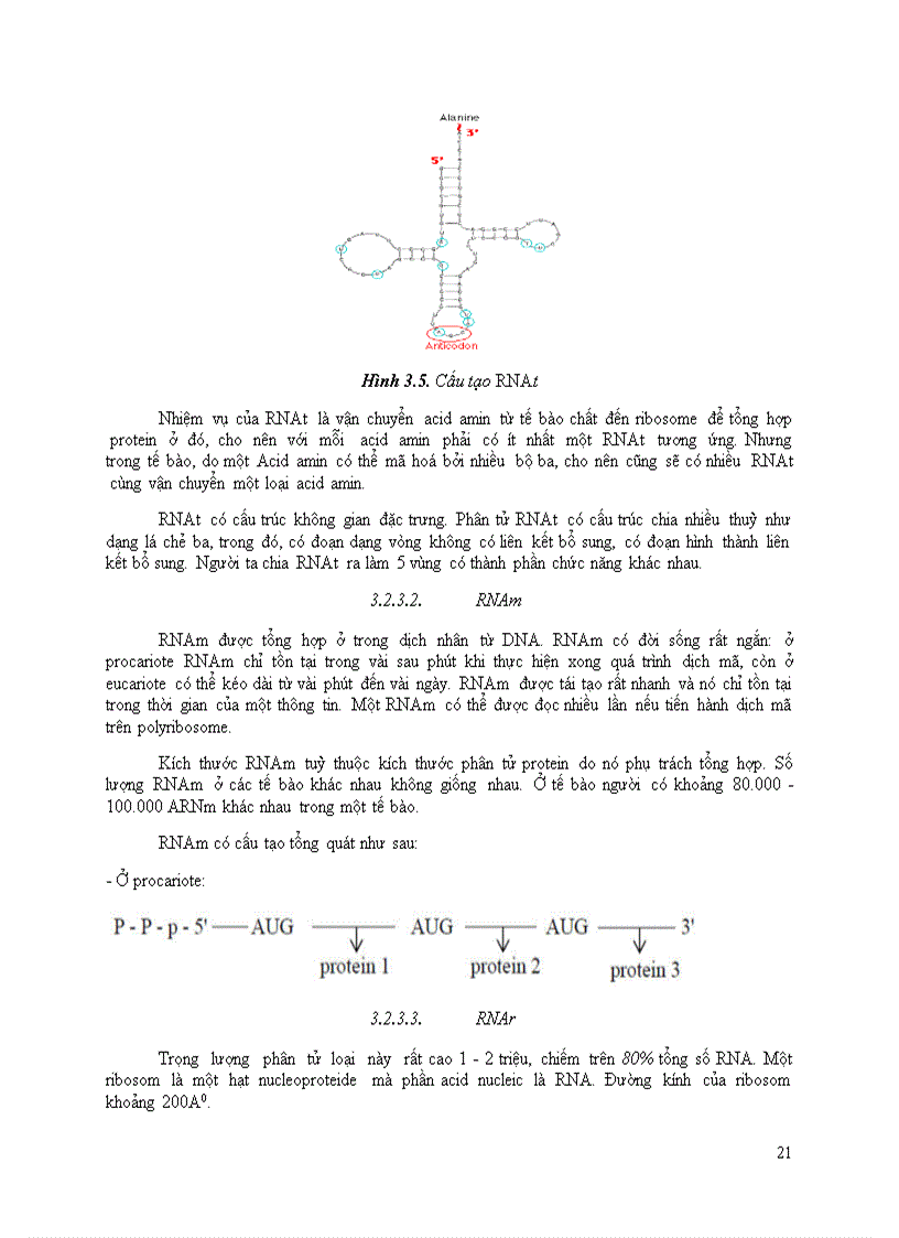 image for page Acid Nucleic