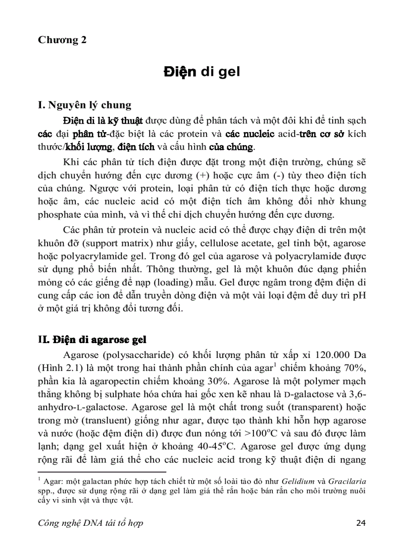 image for page Adn tái tổ hợp