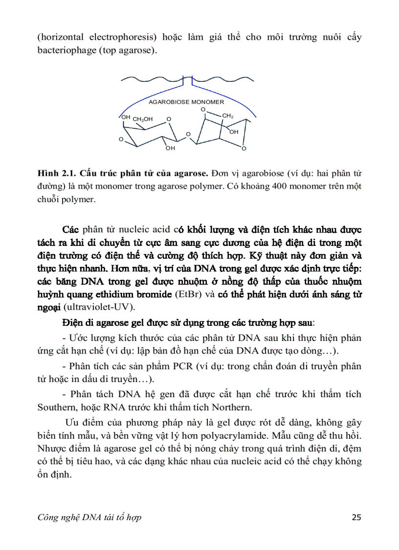 image for page Adn tái tổ hợp
