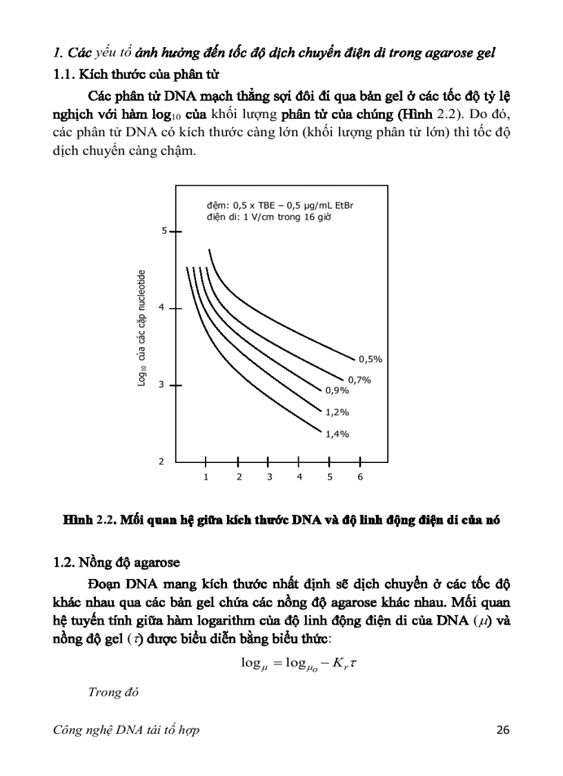 image for page Adn tái tổ hợp