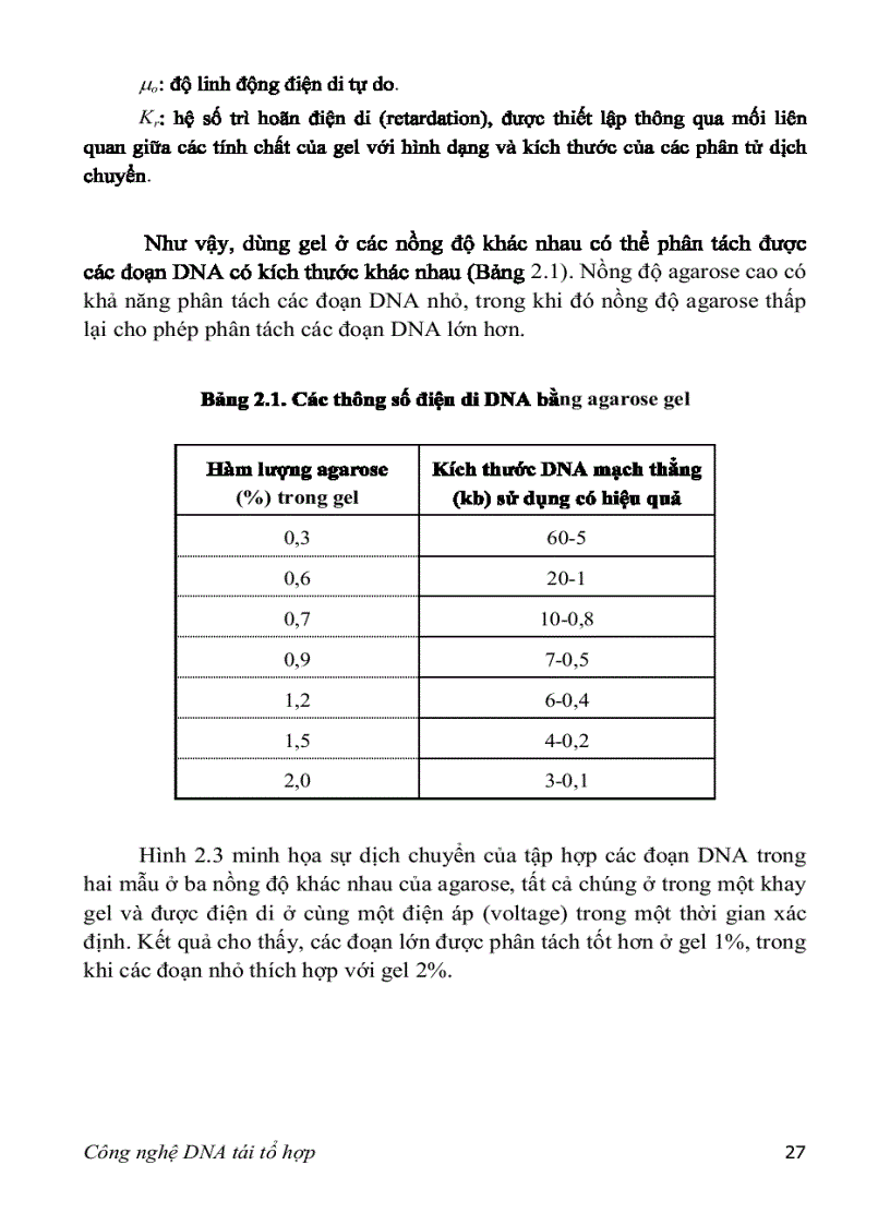 image for page Adn tái tổ hợp