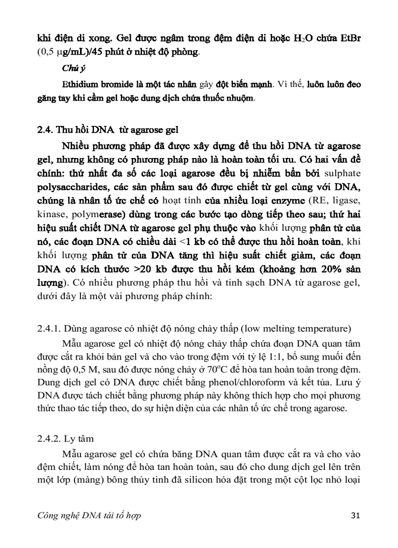 image for page Adn tái tổ hợp