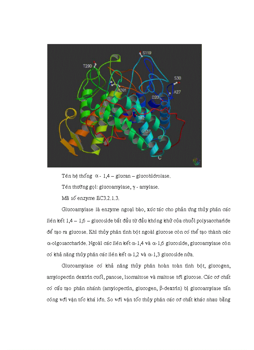 image for page Amylase