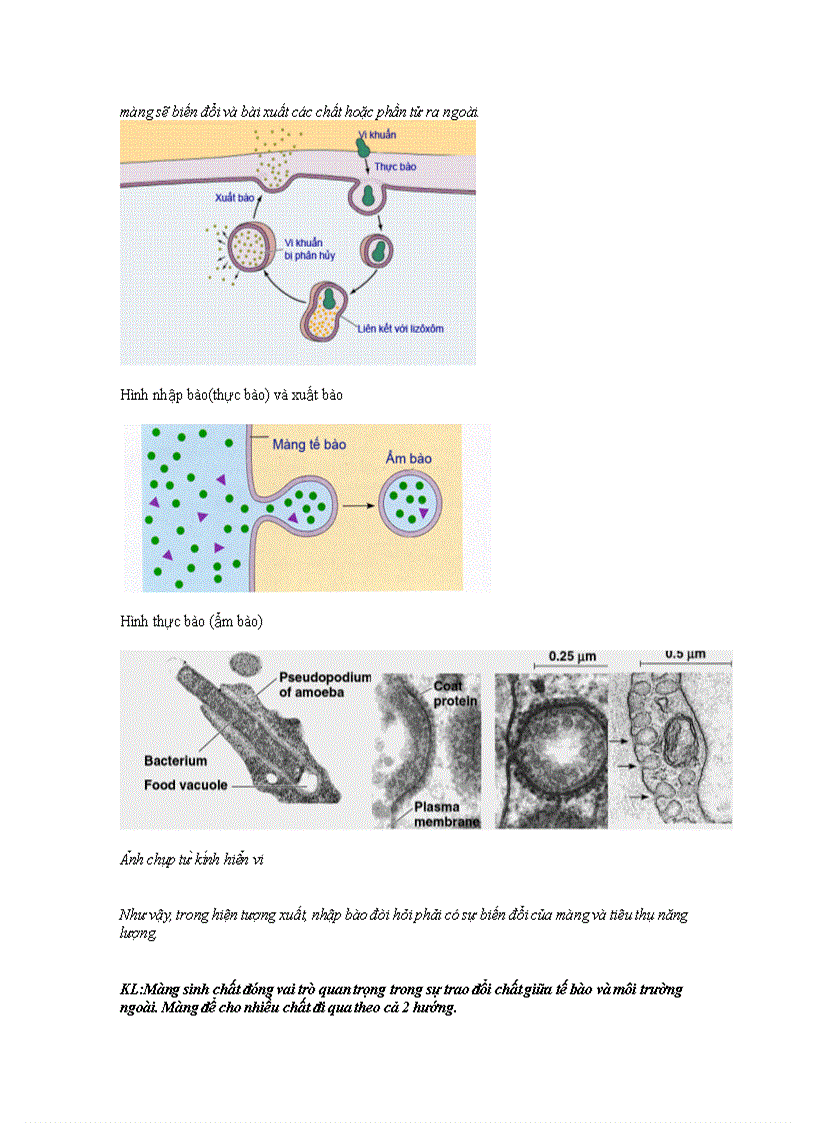 image for page Bài trình à môn lý sinh