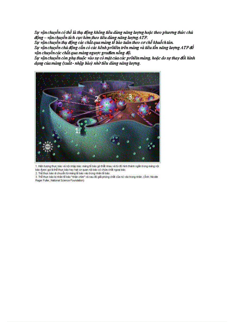 image for page Bài trình à môn lý sinh