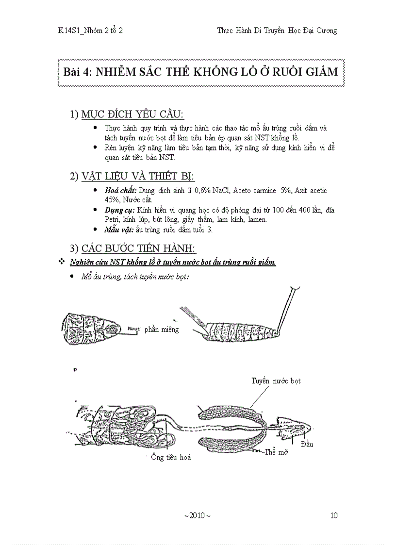 image for page Báo cáo di truyền