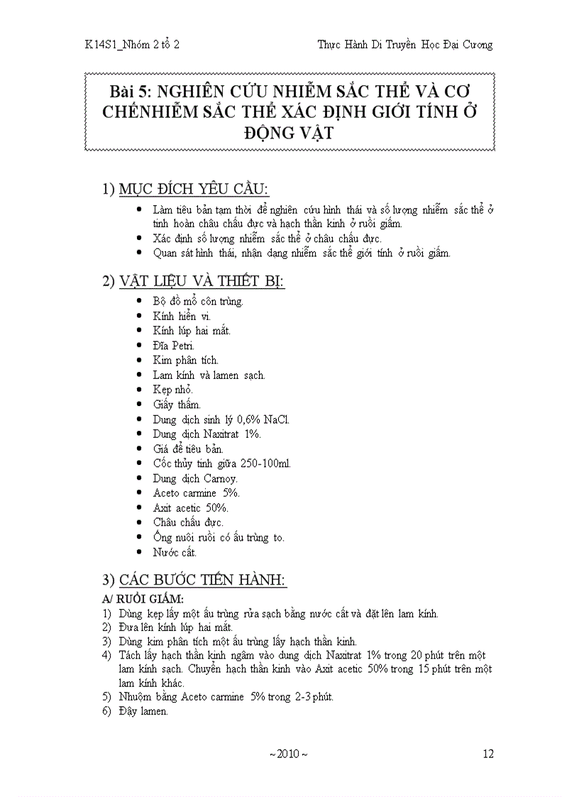 image for page Báo cáo di truyền