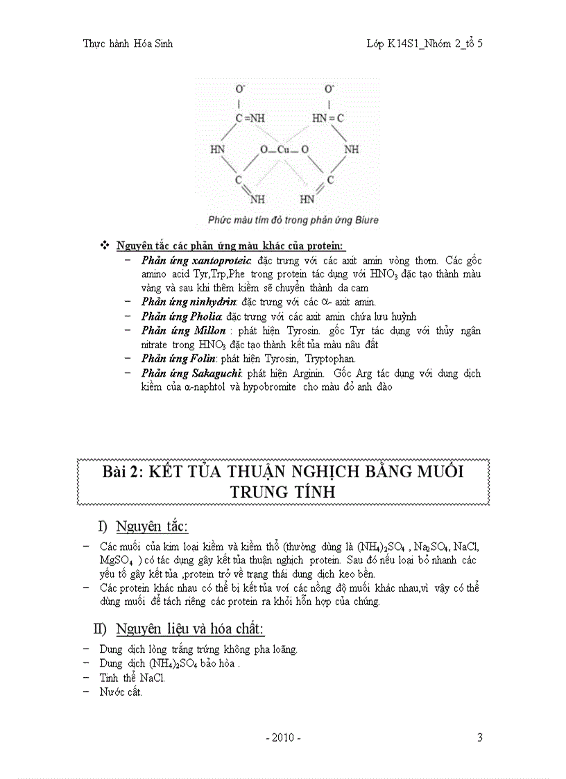 image for page Báo cáo hóa sinh