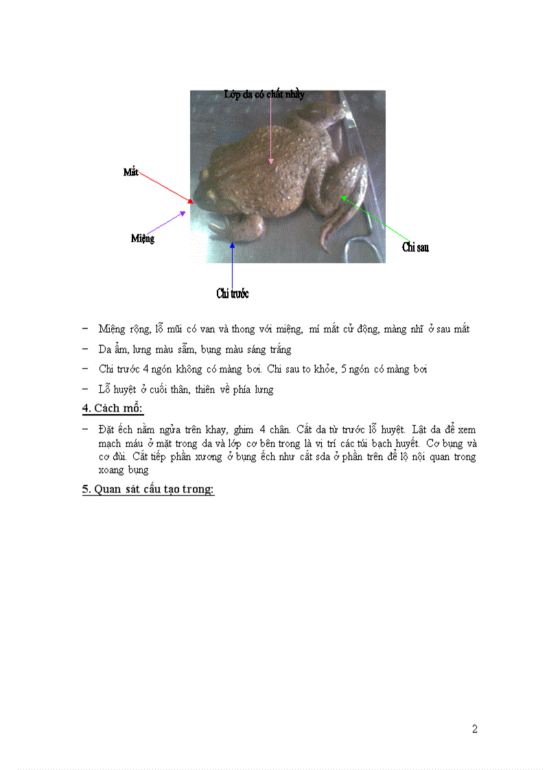 image for page Báo cáo shcndv