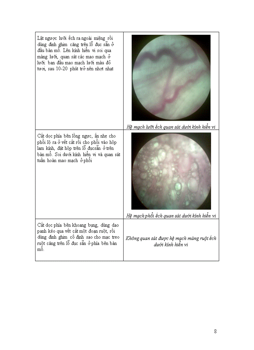 image for page Báo cáo shcndv