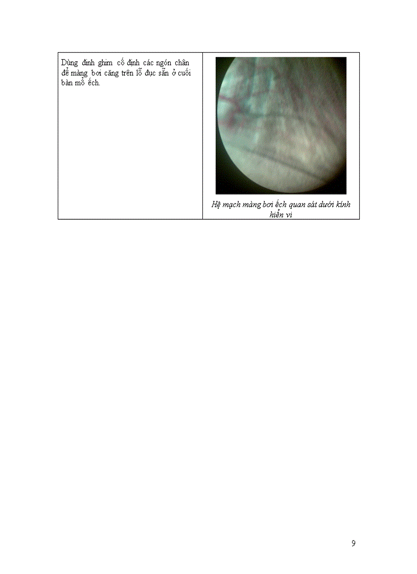 image for page Báo cáo shcndv