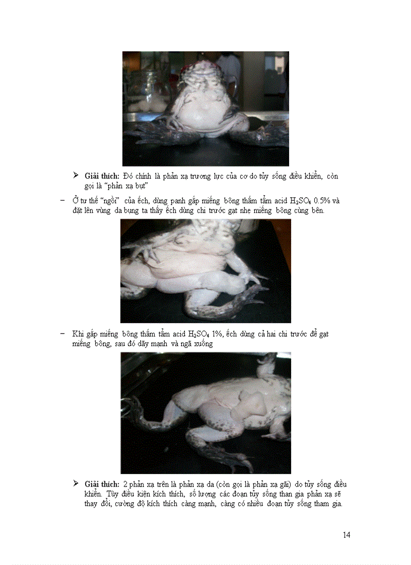 image for page Báo cáo shcndv