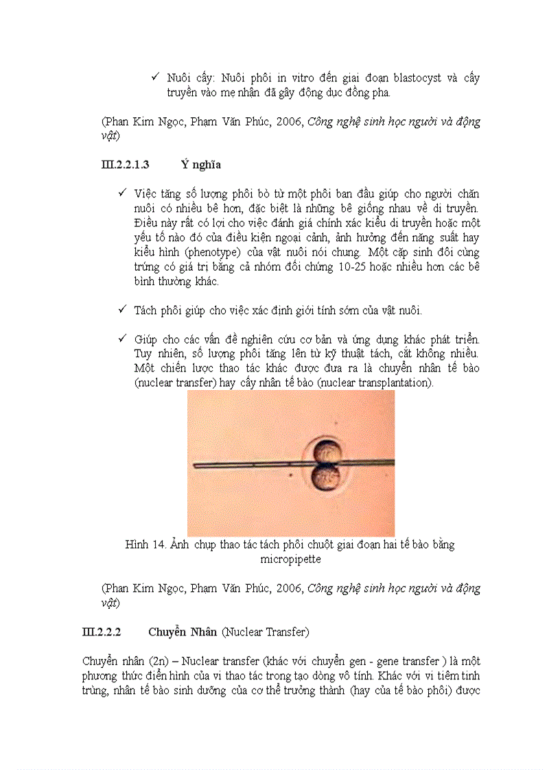 image for page Báo cáo Sinh học sinh sản Sinh sản vô tính ở động vật