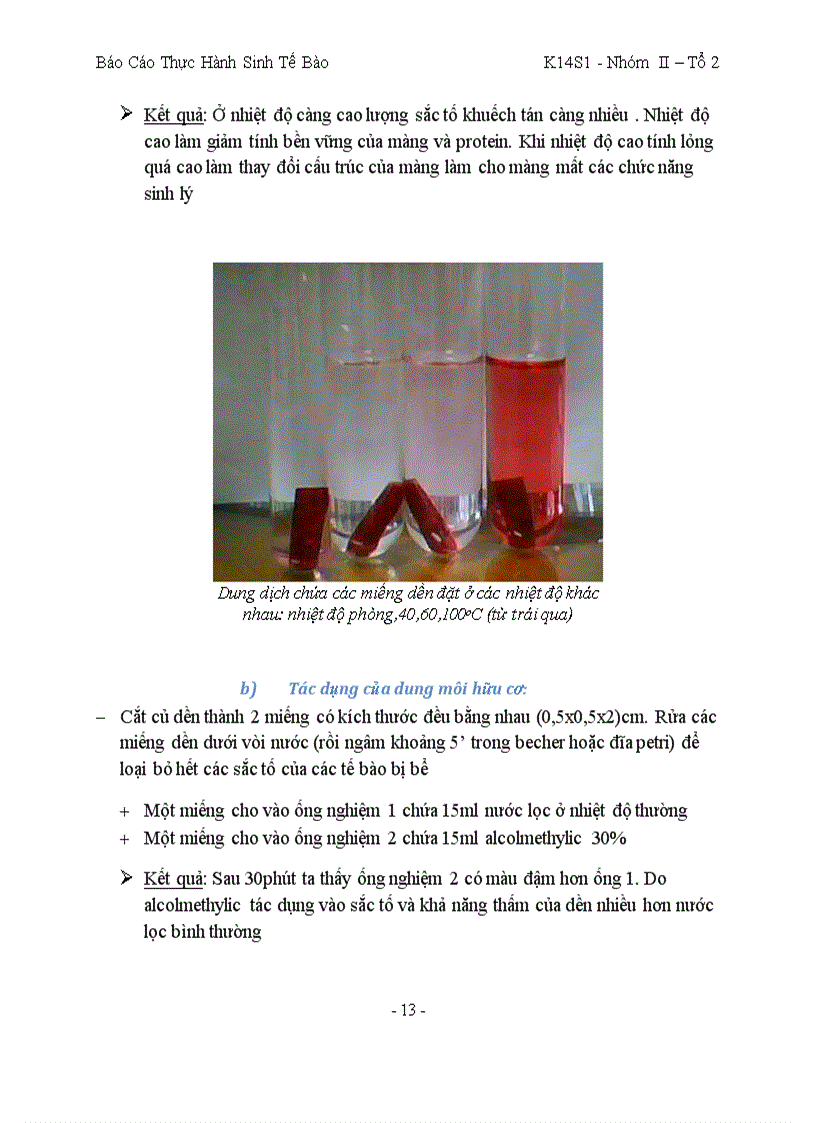 image for page Bao cao sinh te bao co Minh