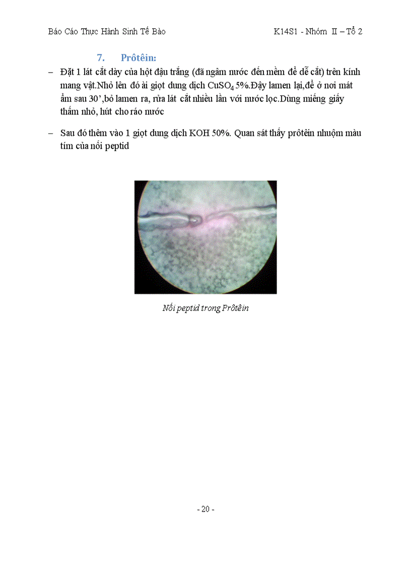 image for page Bao cao sinh te bao co Minh