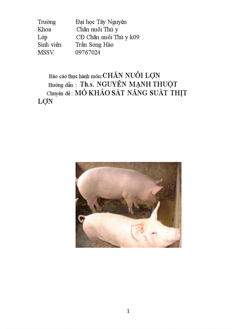 Báo cáo thực hành chăn nuôi lợn