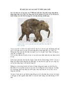 Bí mật xác voi mamut 37 000 năm tuổi