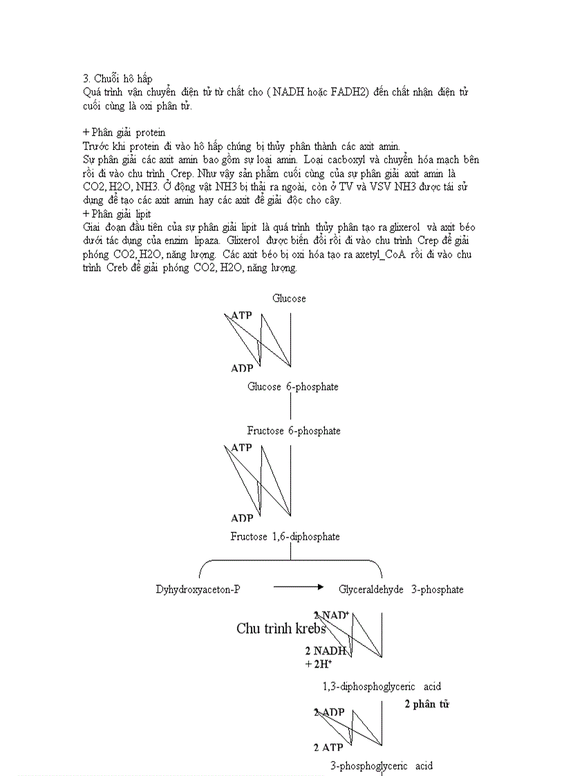 image for page Câu hỏi ôn thi hóa sinh