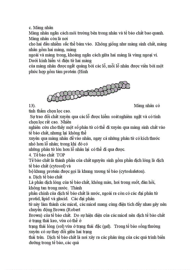 image for page Cấu trúc tế bào chân hạch