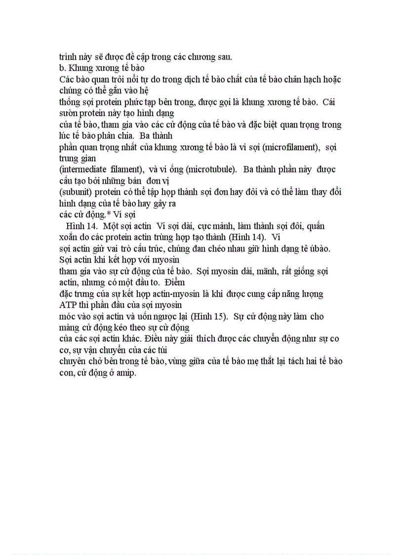 image for page Cấu trúc tế bào chân hạch