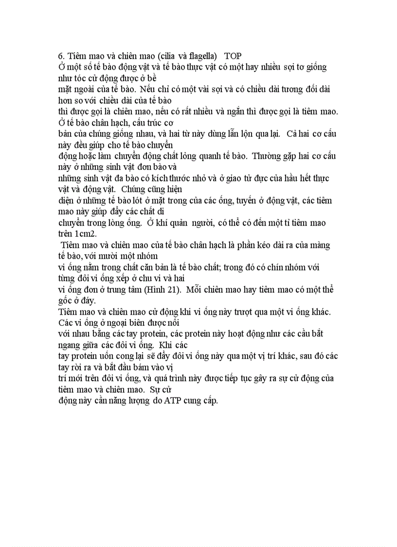 image for page Cấu trúc tế bào chân hạch