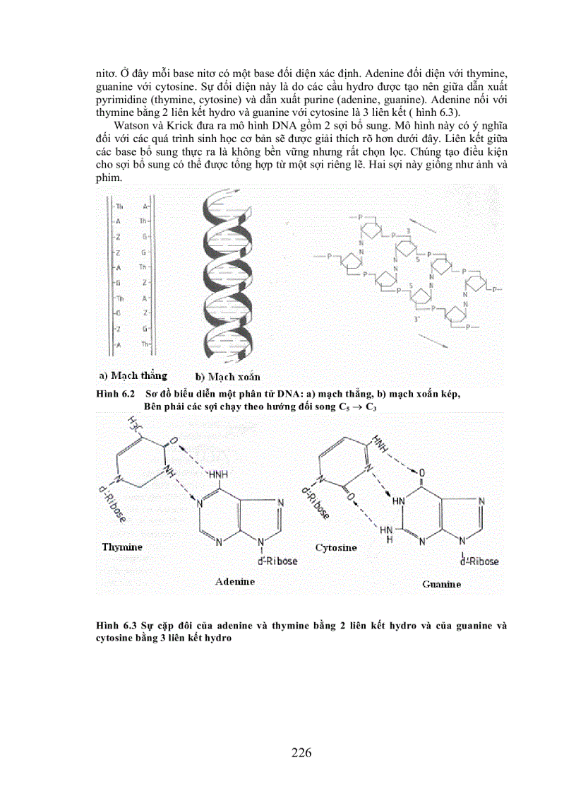 Chuyen hoa ãit nucleic